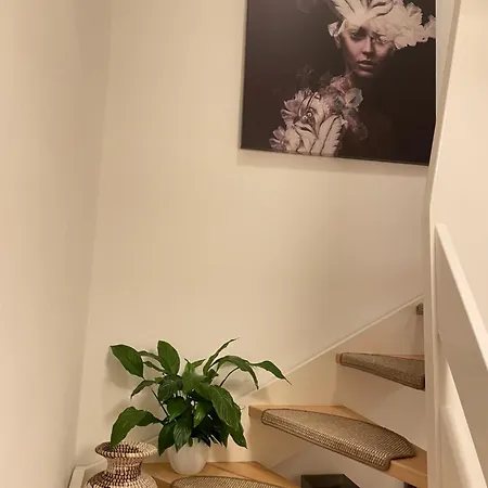 Velindrettet Raekkehus Med Fantastisk Udsigt Vila *